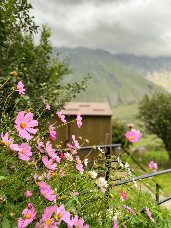 Апартаменты My Space Kazbegi Экстерьер фото